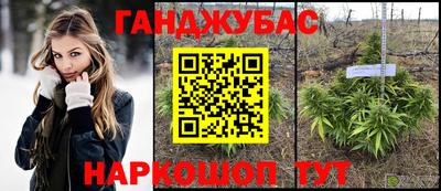 гашик Кулебаки