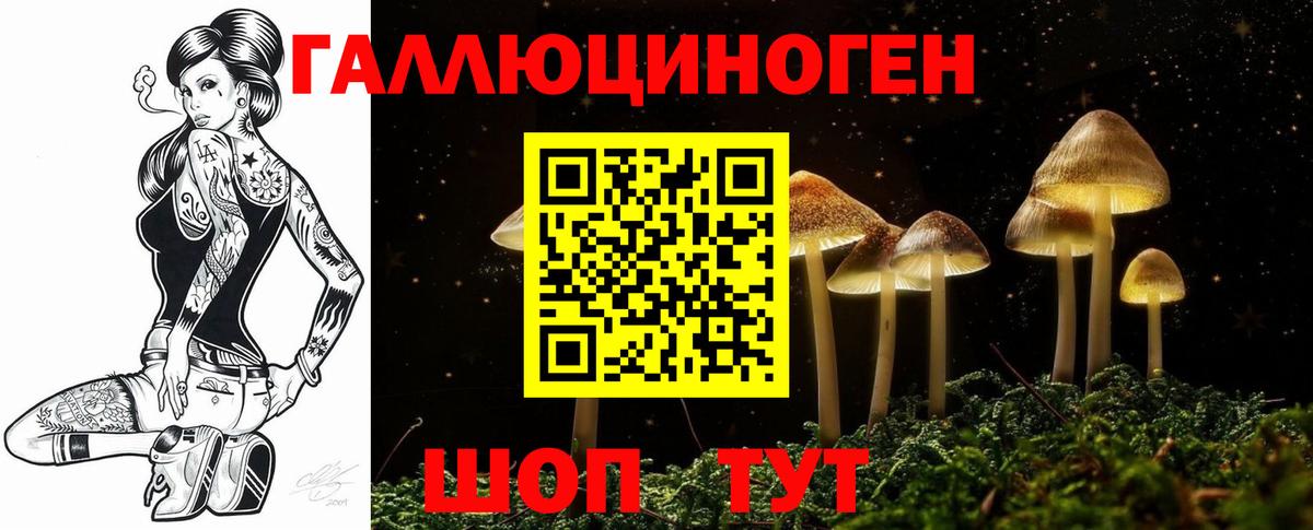 Киселёвск  Галлюциногенные грибы мицелий  Вход с VPN  где купить наркоту  Псилоцибиновые грибы Magic Shrooms 