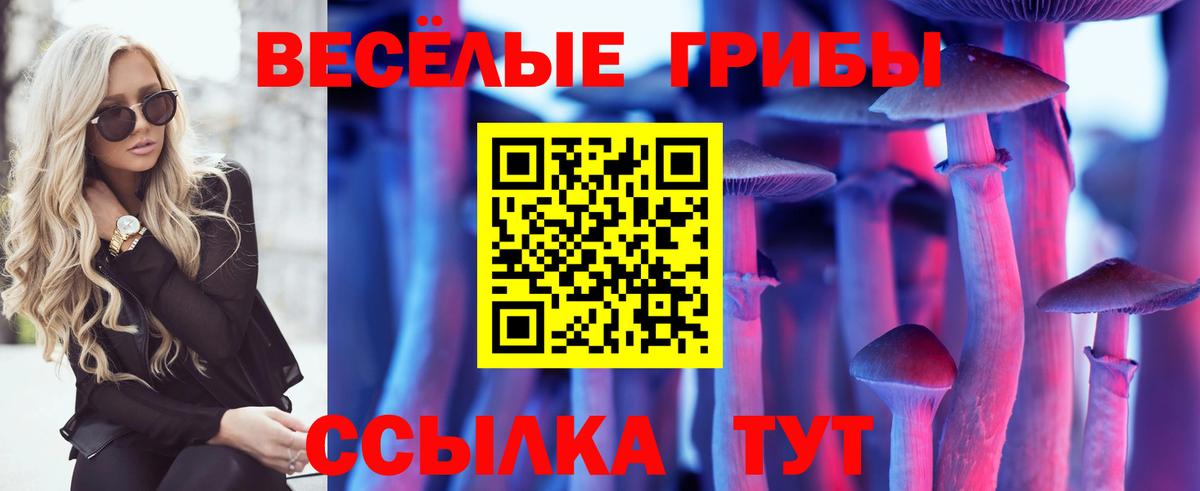 Псилоцибиновые грибы GOLDEN TEACHER Киселёвск